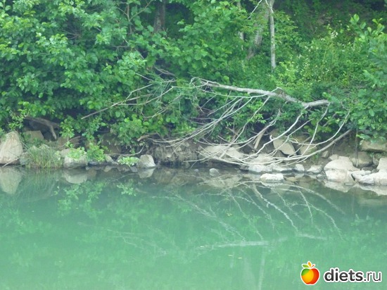 ������ ��� 4, ������: ����������