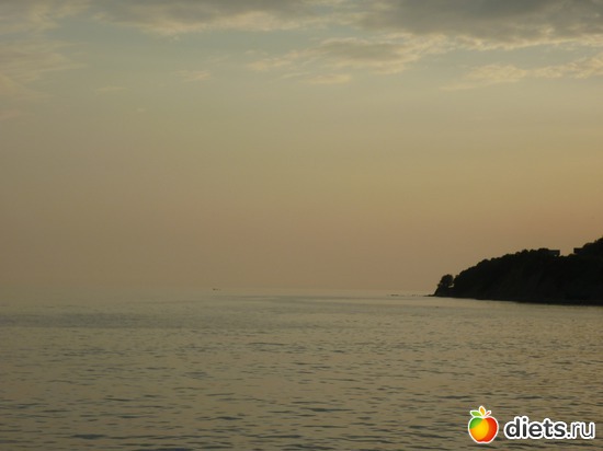 �����, ������: ����������