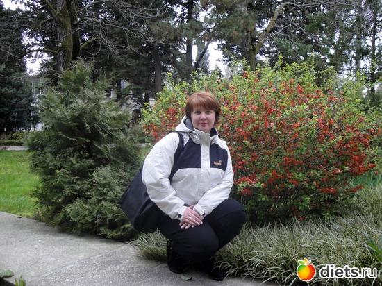 ���� 2011, ������: 2011