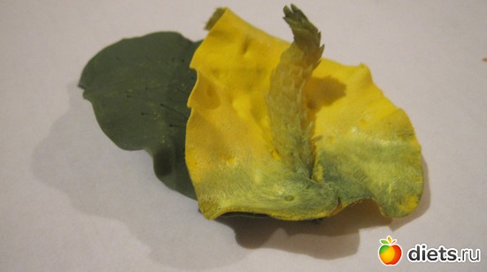 1 ����: �������� *�����������*