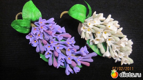 5 ����: �������� *�����������*