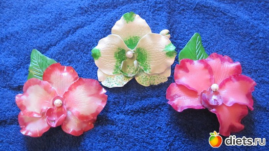 7 ����: �������� *�����������*