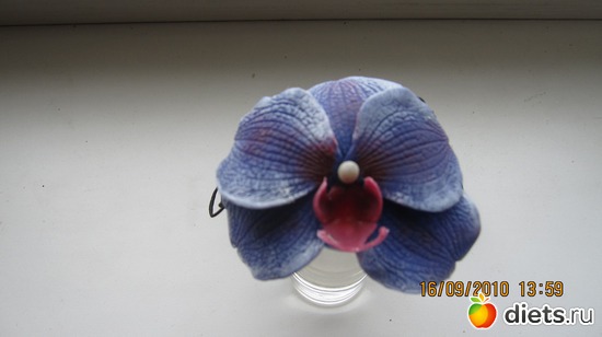 8 ����: �������� *�����������*