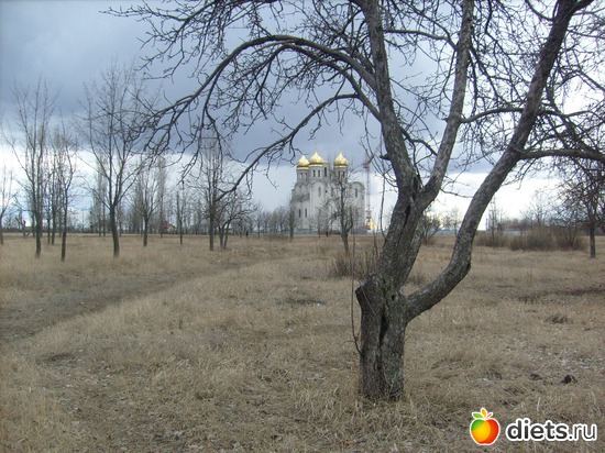 Почти апрель (31 марта), но еще холодно (((..Городской парк.