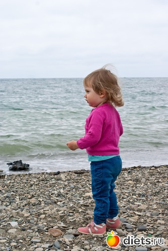 17 ����: ������