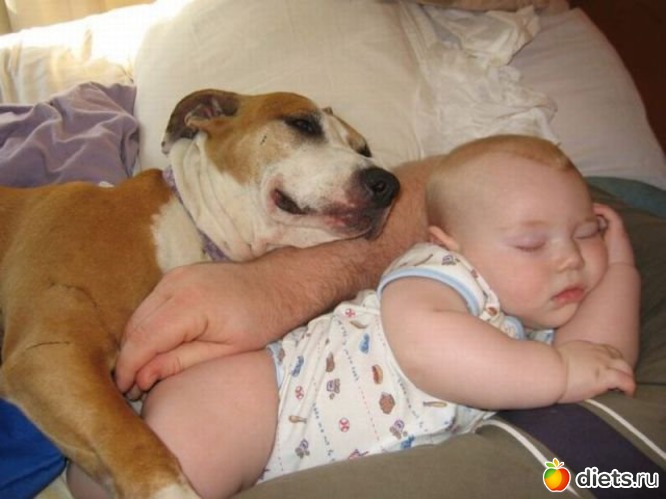 36 ����: �������