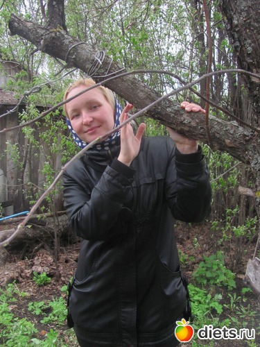 15 ����: �����