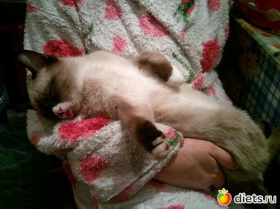 6 ����: ��� �����