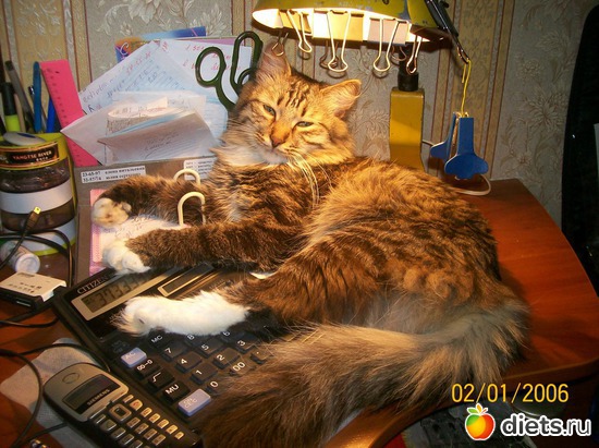 5 ����: ��� ������