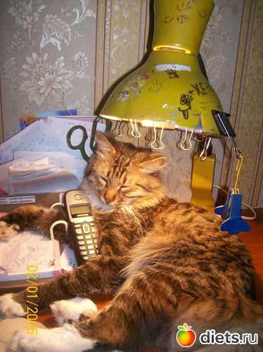 6 ����: ��� ������