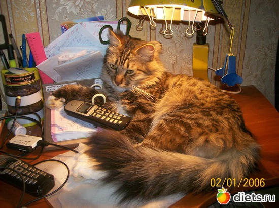 7 ����: ��� ������