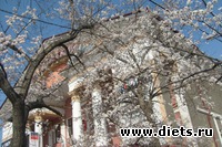 � � ��� ������ ������