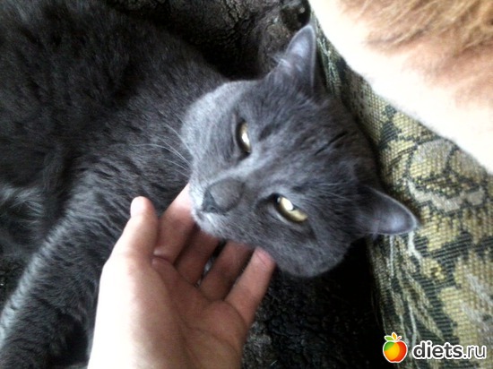 9 ����: ��� ����))