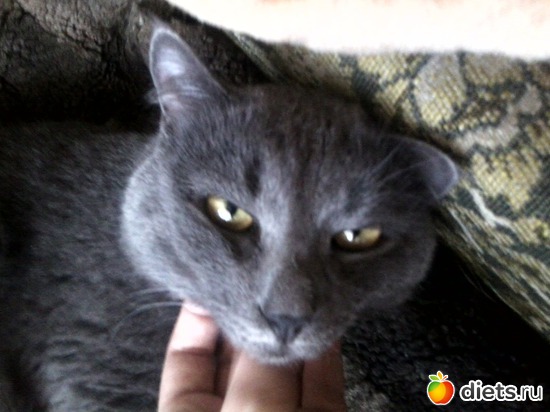 10 ����: ��� ����))