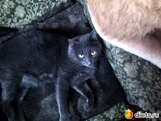 11 ����: ��� ����))