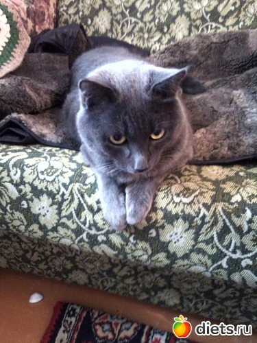 12 ����: ��� ����))