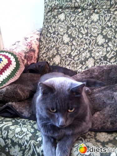 13 ����: ��� ����))