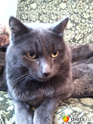 14 ����: ��� ����))