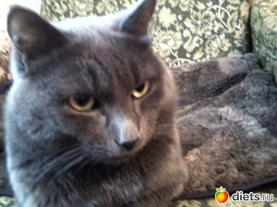 15 ����: ��� ����))