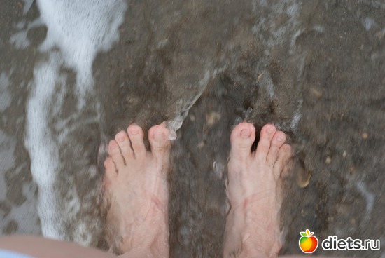 4 ����: ������