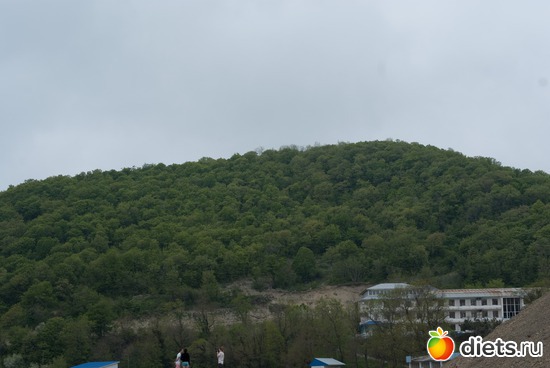 5 ����: ������