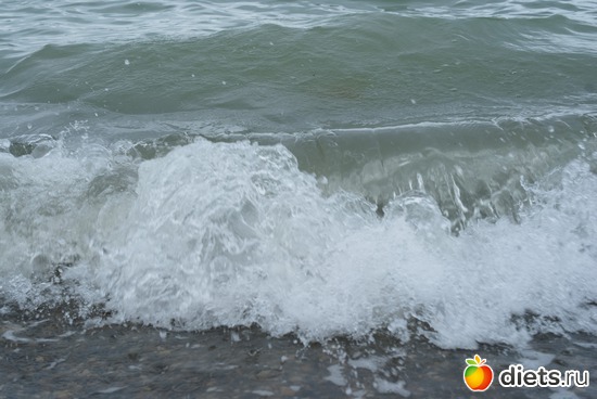 6 ����: ������