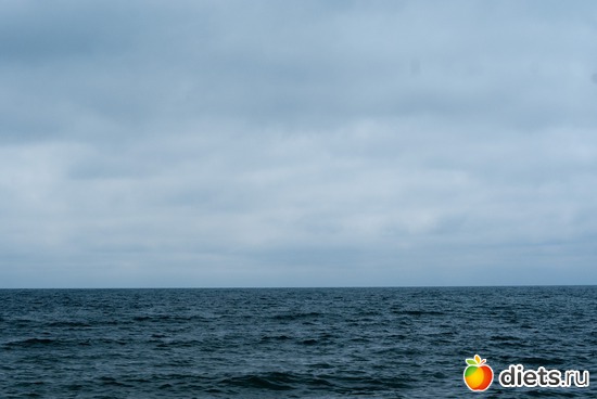 10 ����: ������