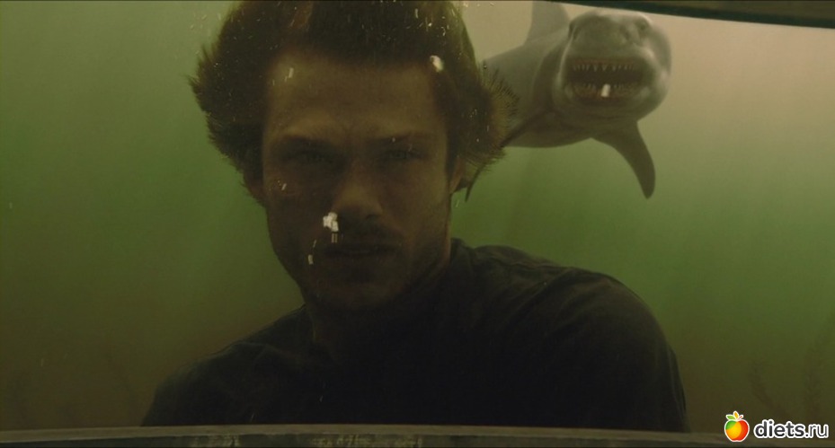 113 ����: ������ �����,������ �� �����.