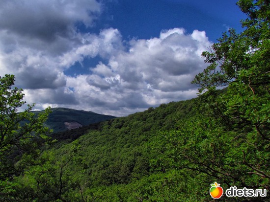 53 фото: Наши окрестности