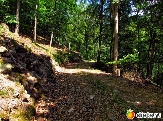 59 фото: Наши окрестности