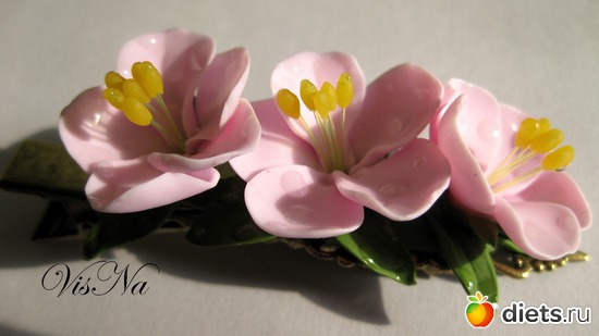 116 ����: ��� ������ �� ���������� �����