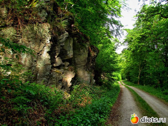 62 фото: Наши окрестности