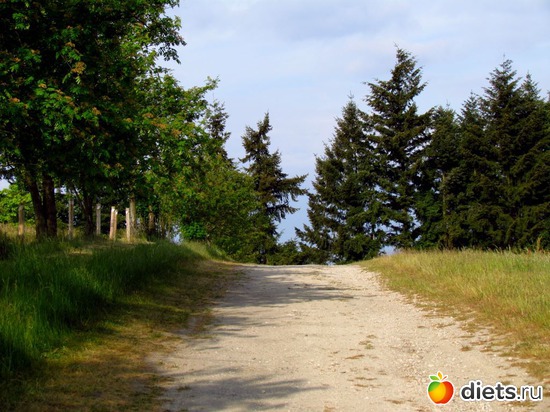 64 фото: Наши окрестности