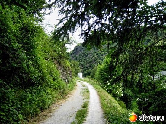 65 фото: Наши окрестности