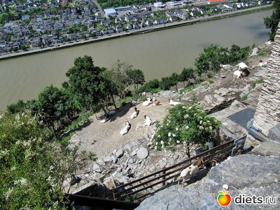 66 фото: Наши окрестности