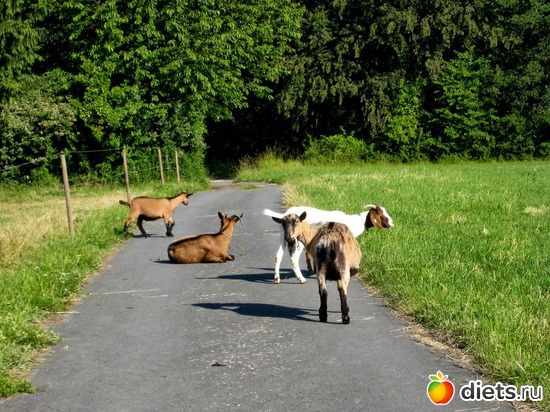 68 фото: Наши окрестности