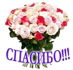  &quot;  &quot;.  - !!!