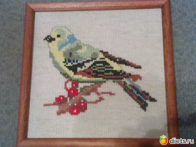 30 ����: ��� ������