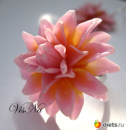 82 ����: ��� ������ �� ���������� �����