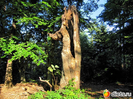 16 фото: Наши окрестности