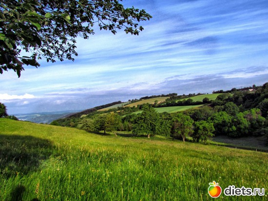 22 фото: Наши окрестности