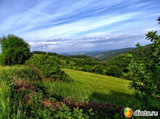 24 фото: Наши окрестности