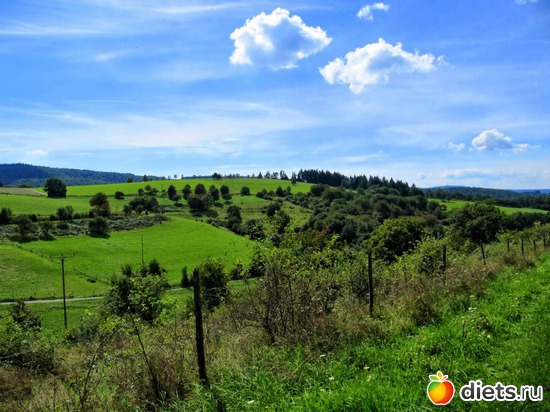 31 фото: Наши окрестности