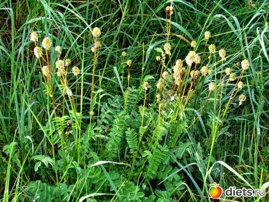 32 фото: Наши окрестности