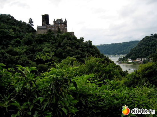 39 фото: Наши окрестности