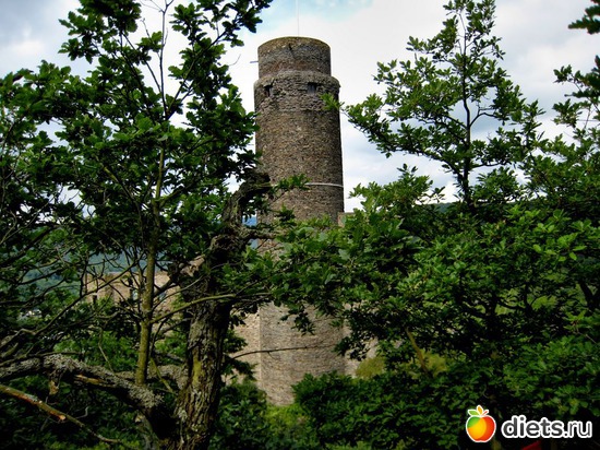 41 фото: Наши окрестности