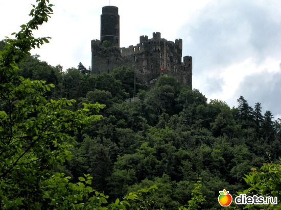 45 фото: Наши окрестности