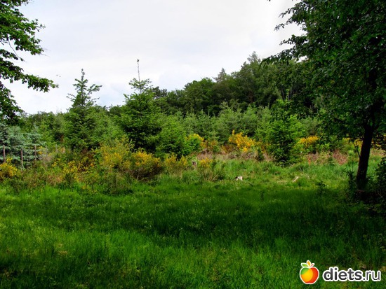 48 фото: Наши окрестности