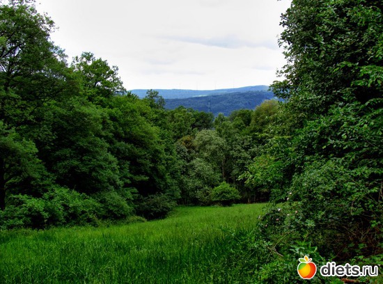 49 фото: Наши окрестности