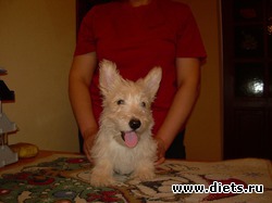 �������������� �������� �� ���������-���������